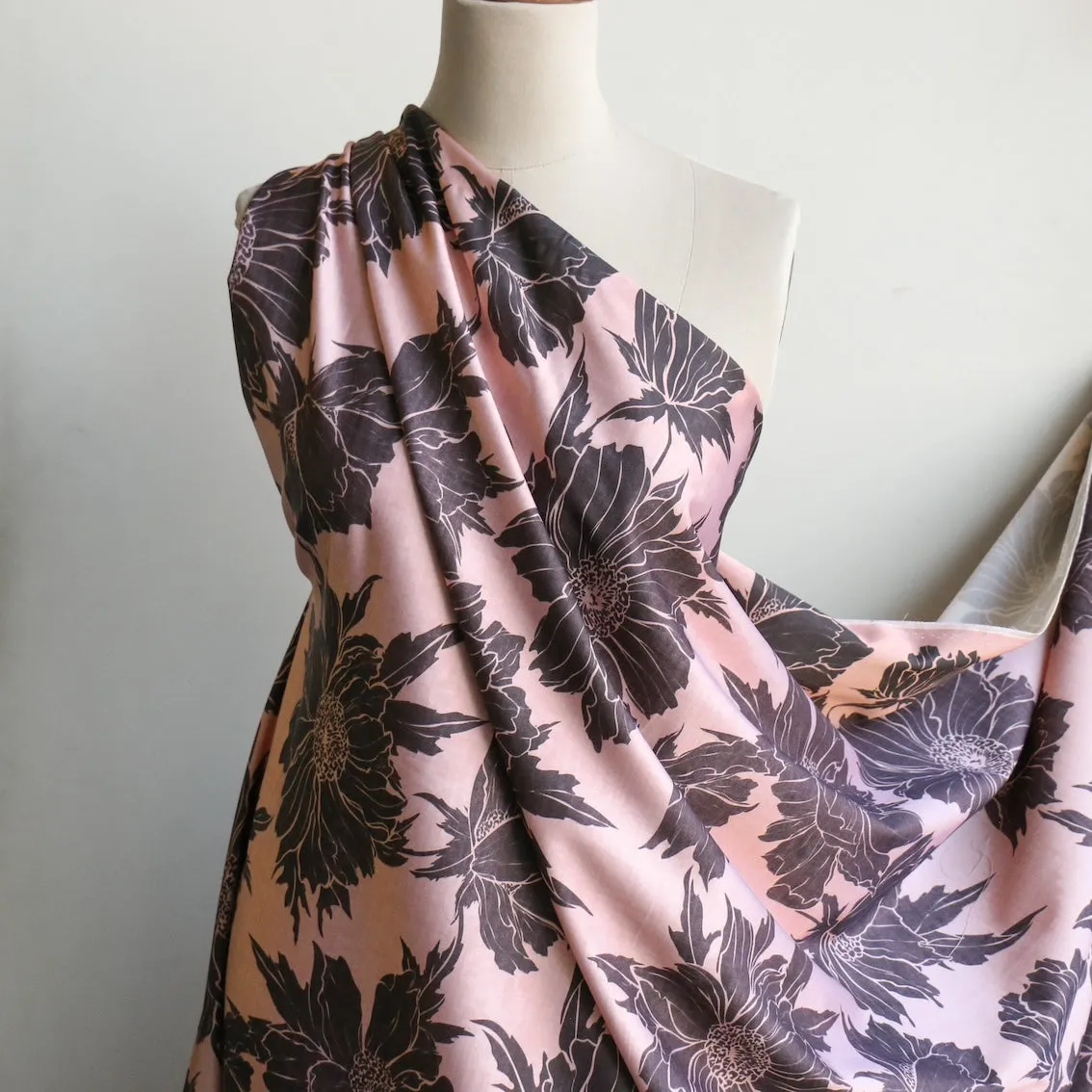 Antoinette Blooms